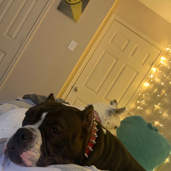 Meet your Posher, Joann - Picture 1 of 1